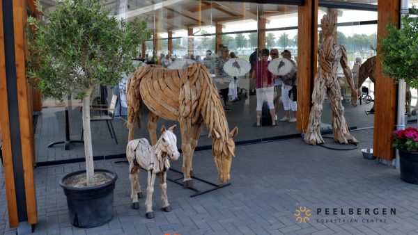 Excursie hippisch centrum De Peelbergen - juli 2018