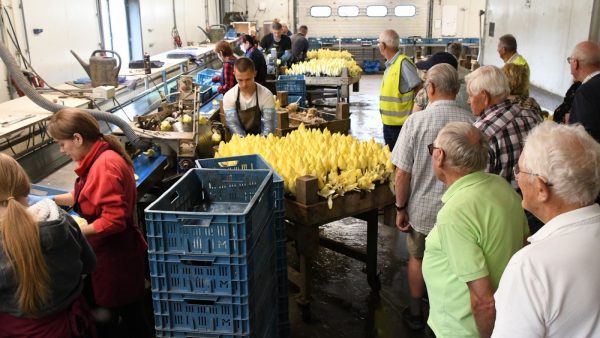 20220704_KBO-excursie-Stemkens_Lof_LGI (22)